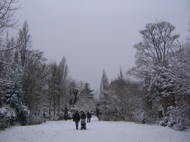 snowy stokey - genevieve blog